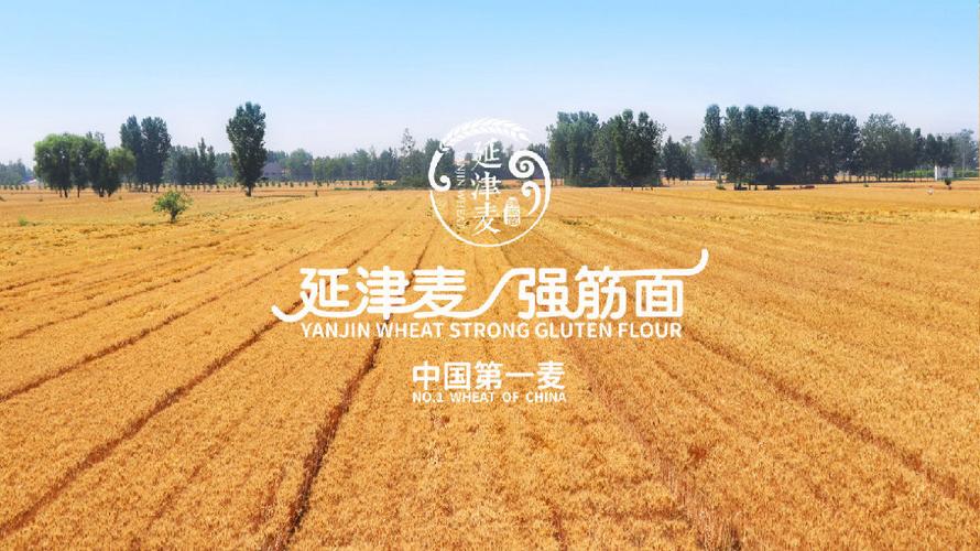 新乡新闻头条最新消息 - 新乡新闻最新今天-第3张图片-华田资讯 新乡新闻头条最新消息 - 新乡新闻最新今天-第3张图片-华田资讯