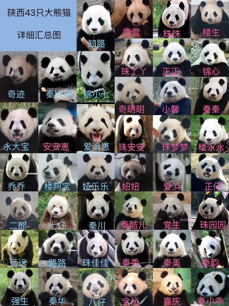 宁强新闻宁强最近新闻(宁强新闻宁强重大新闻)-第4张图片-华田资讯 宁强新闻宁强最近新闻(宁强新闻宁强重大新闻)-第4张图片-华田资讯