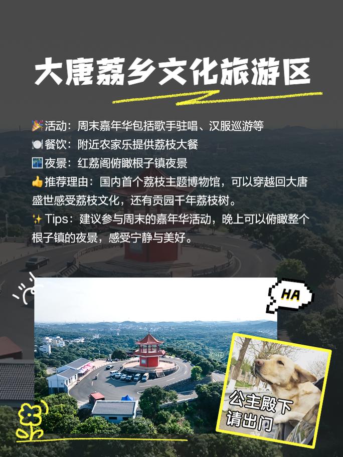 高州最新新闻头条 - 高州最新新闻头条今天-第3张图片-华田资讯 高州最新新闻头条 - 高州最新新闻头条今天-第3张图片-华田资讯