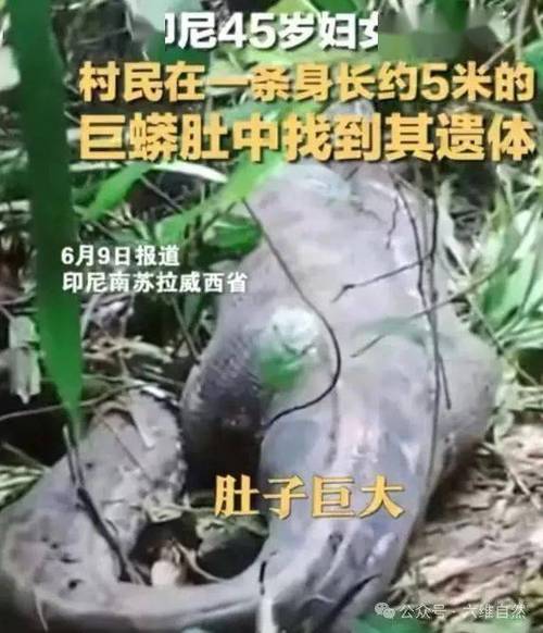 安徽新闻最新消息,安徽新闻新冠病毒最新消息-第1张图片-华田资讯 安徽新闻最新消息,安徽新闻新冠病毒最新消息-第1张图片-华田资讯