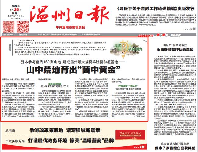 温州今日最新新闻头条 - 温州今日最新新闻头条感受-第4张图片-华田资讯 温州今日最新新闻头条 - 温州今日最新新闻头条感受-第4张图片-华田资讯