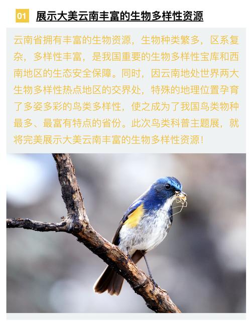 昆明信息港新闻,昆明信息港新闻最新消息-第5张图片-华田资讯 昆明信息港新闻,昆明信息港新闻最新消息-第5张图片-华田资讯