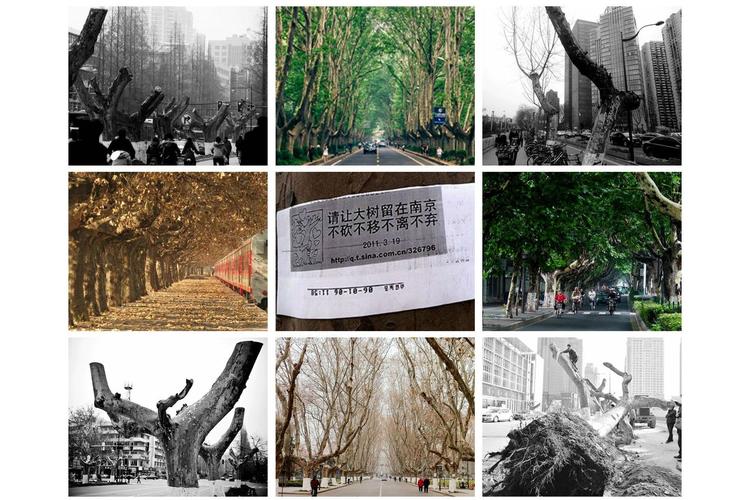 南京今日重大新闻(南京今日刚刚发生的重大新闻)-第6张图片-华田资讯 南京今日重大新闻(南京今日刚刚发生的重大新闻)-第6张图片-华田资讯