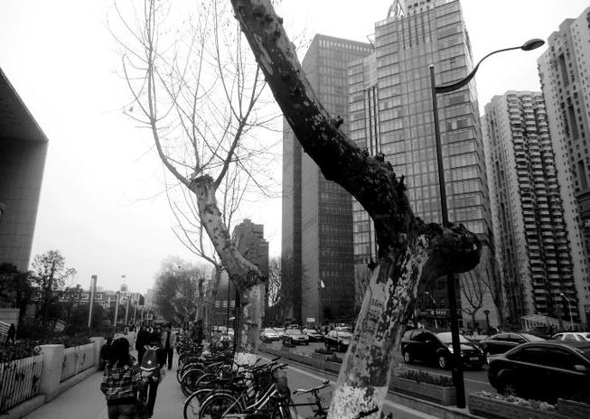 南京今日重大新闻(南京今日刚刚发生的重大新闻)-第7张图片-华田资讯 南京今日重大新闻(南京今日刚刚发生的重大新闻)-第7张图片-华田资讯