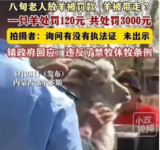 河间新闻最新消息(河间新闻最新消息视频)-第3张图片-华田资讯 河间新闻最新消息(河间新闻最新消息视频)-第3张图片-华田资讯