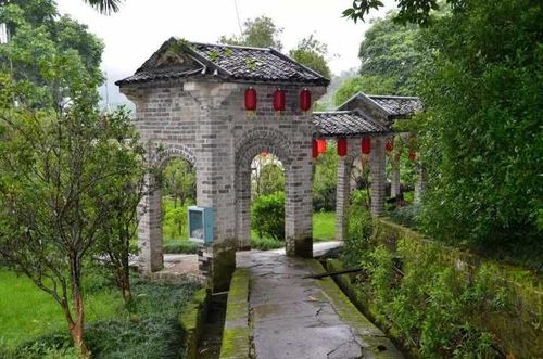 广西陆川县古城镇新闻(广西陆川县古城镇卫星地图)-第4张图片-华田资讯 广西陆川县古城镇新闻(广西陆川县古城镇卫星地图)-第4张图片-华田资讯