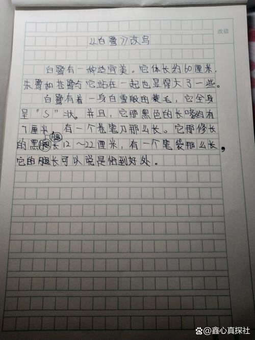 涟水在线新闻网,涟水在线新闻网最新消息-第2张图片-华田资讯 涟水在线新闻网,涟水在线新闻网最新消息-第2张图片-华田资讯