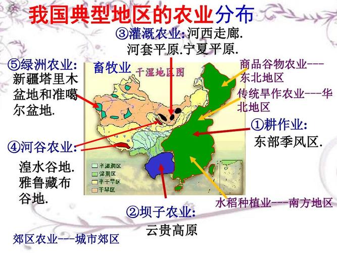 中国农业新闻网(中国农业新闻网北大荒精神)-第3张图片-华田资讯 中国农业新闻网(中国农业新闻网北大荒精神)-第3张图片-华田资讯