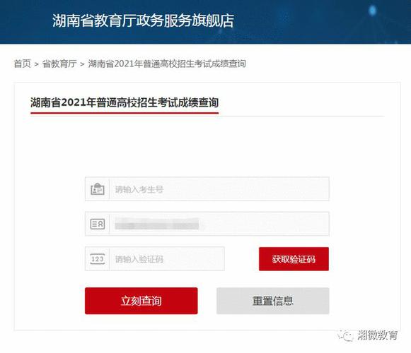 湖南教育新闻网 - 湖南教育新闻网小记者-第5张图片-华田资讯 湖南教育新闻网 - 湖南教育新闻网小记者-第5张图片-华田资讯