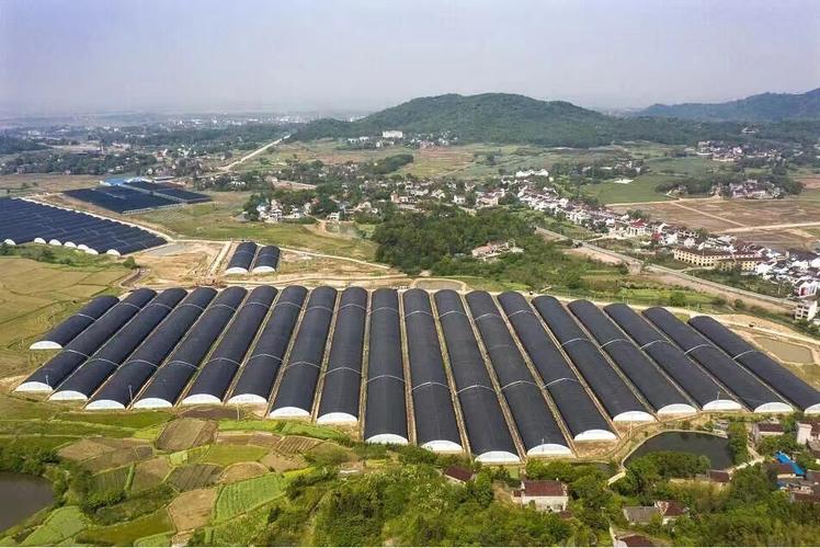 枞阳县最新新闻 - 枞阳县最新消息-第1张图片-华田资讯 枞阳县最新新闻 - 枞阳县最新消息-第1张图片-华田资讯