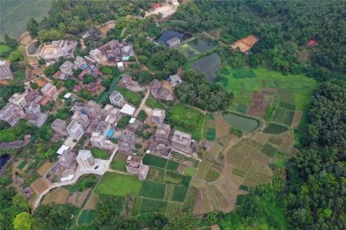 最新化州中垌新闻(最新化州中垌新闻联播)-第2张图片-华田资讯 最新化州中垌新闻(最新化州中垌新闻联播)-第2张图片-华田资讯
