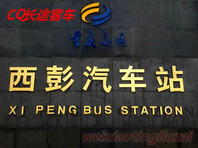 龙州新闻网最新消息,2020年龙州新闻-第4张图片-华田资讯 龙州新闻网最新消息,2020年龙州新闻-第4张图片-华田资讯