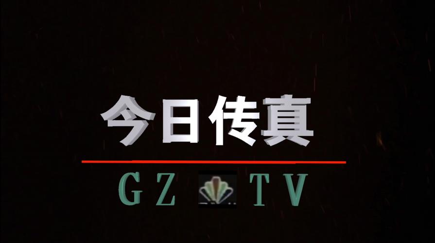 广州电视台新闻回放 - 广州电视台新闻频道回放-第6张图片-华田资讯 广州电视台新闻回放 - 广州电视台新闻频道回放-第6张图片-华田资讯
