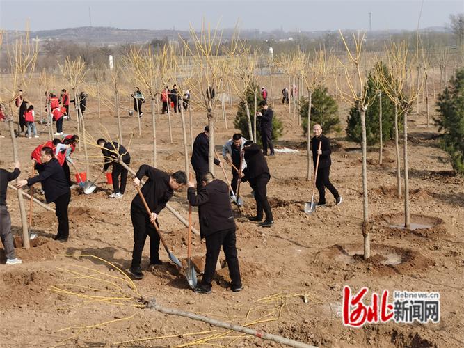 肥乡区近几天新闻(肥乡区新闻联播)-第3张图片-华田资讯 肥乡区近几天新闻(肥乡区新闻联播)-第3张图片-华田资讯