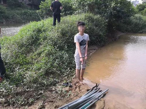 广西灵山县武利镇新闻 - 广西灵山武利新闻头条新闻-第2张图片-华田资讯 广西灵山县武利镇新闻 - 广西灵山武利新闻头条新闻-第2张图片-华田资讯