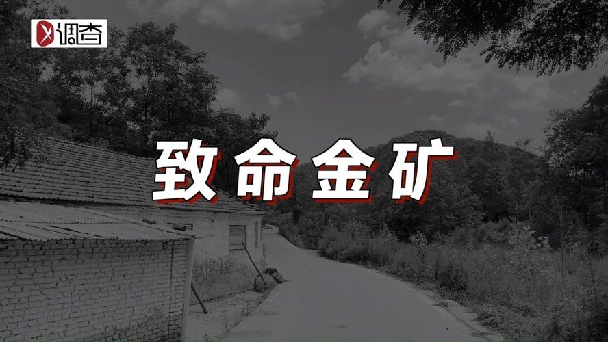 三门峡市最新新闻(三门峡发布)-第5张图片-华田资讯 三门峡市最新新闻(三门峡发布)-第5张图片-华田资讯