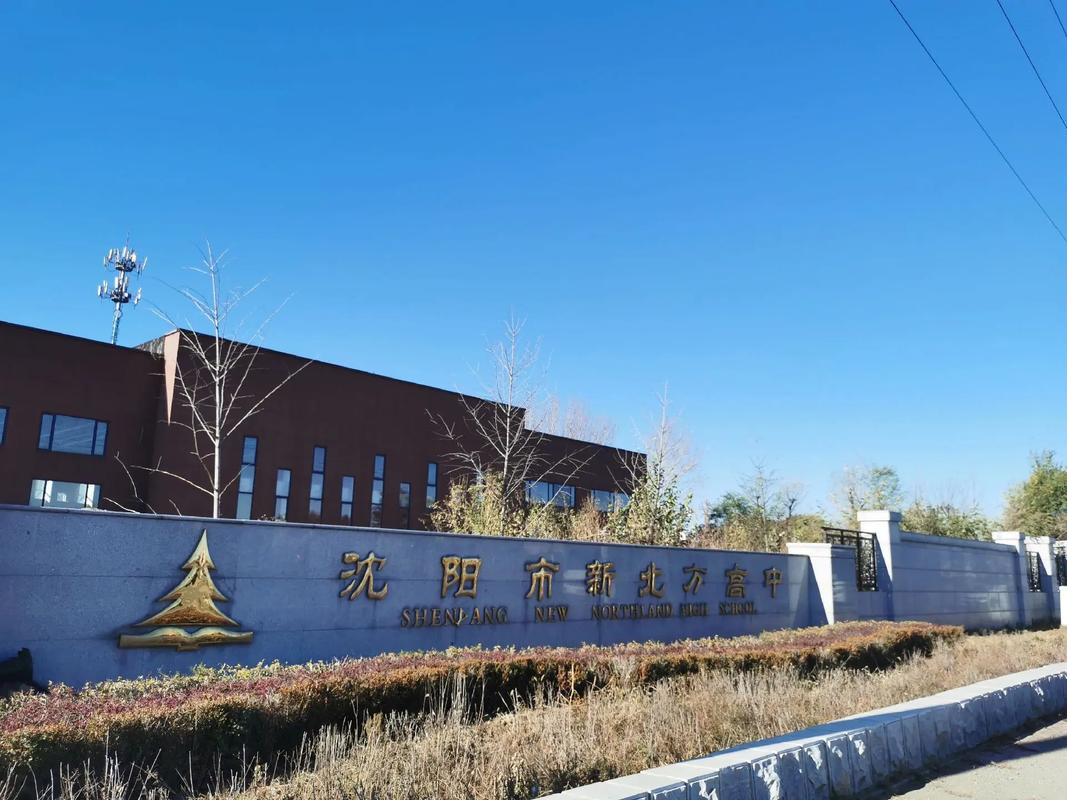 沈阳新北方新闻回放(沈阳新北方新闻回放2024年我的车位谁做主)-第6张图片-华田资讯 沈阳新北方新闻回放(沈阳新北方新闻回放2024年我的车位谁做主)-第6张图片-华田资讯