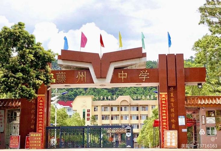 广西藤县最新闻事件(广西藤县近排发生的命案)-第7张图片-华田资讯 广西藤县最新闻事件(广西藤县近排发生的命案)-第7张图片-华田资讯