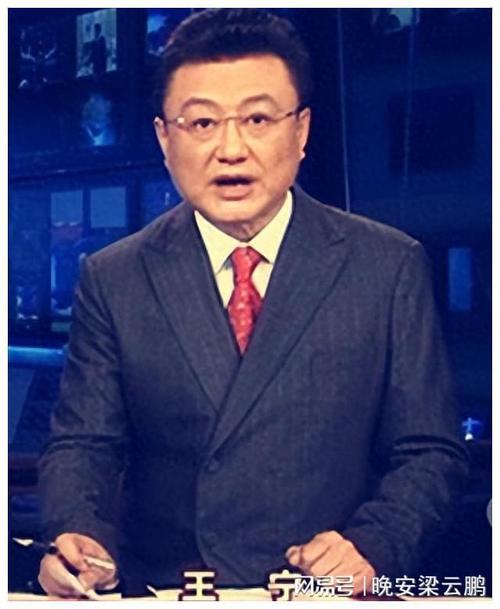 新闻主持人王宁的简单介绍-第6张图片-华田资讯 新闻主持人王宁的简单介绍-第6张图片-华田资讯