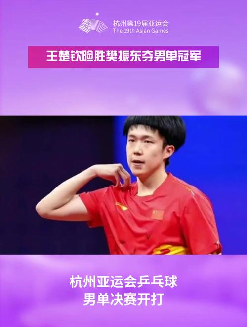 乒乓球比赛新闻 - 乒乓球比赛新闻稿-第6张图片-华田资讯 乒乓球比赛新闻 - 乒乓球比赛新闻稿-第6张图片-华田资讯