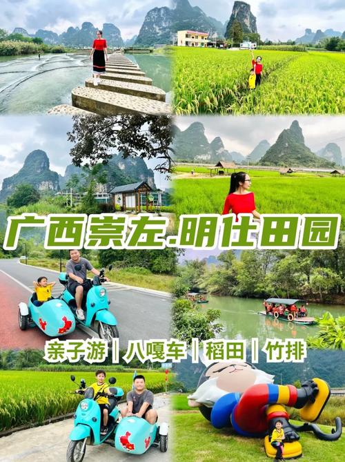 广西崇左新闻头条(广西崇左新闻网官方网站首页)-第2张图片-华田资讯 广西崇左新闻头条(广西崇左新闻网官方网站首页)-第2张图片-华田资讯