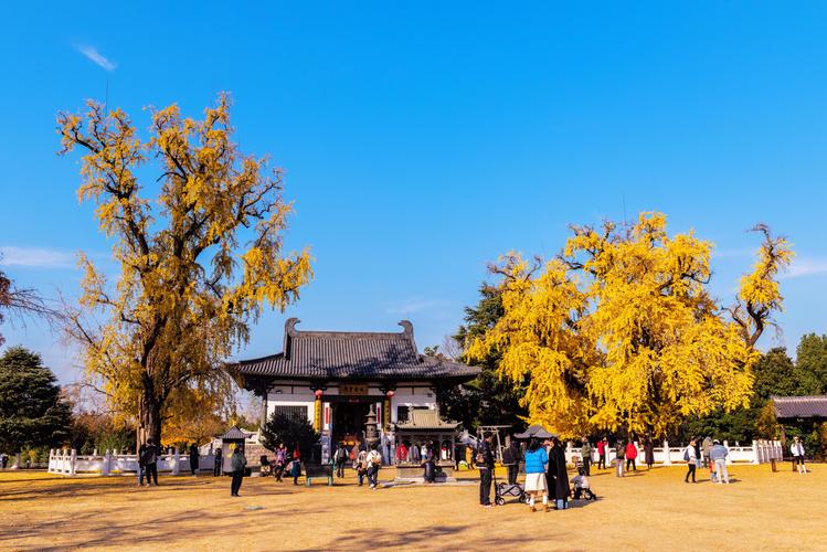 漳州南靖龙山特大新闻,南靖龙山风景区-第3张图片-华田资讯 漳州南靖龙山特大新闻,南靖龙山风景区-第3张图片-华田资讯