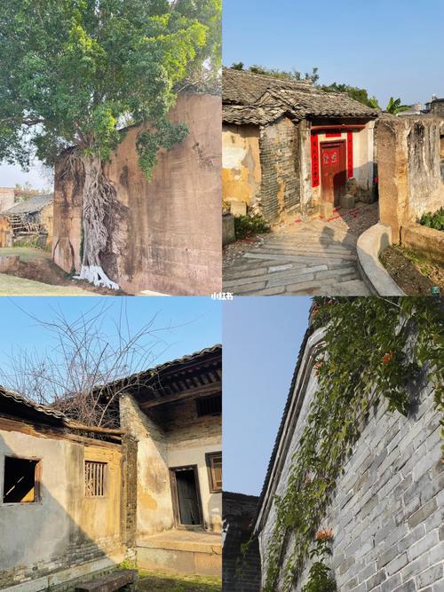 漳州南靖龙山特大新闻,南靖龙山风景区-第4张图片-华田资讯 漳州南靖龙山特大新闻,南靖龙山风景区-第4张图片-华田资讯