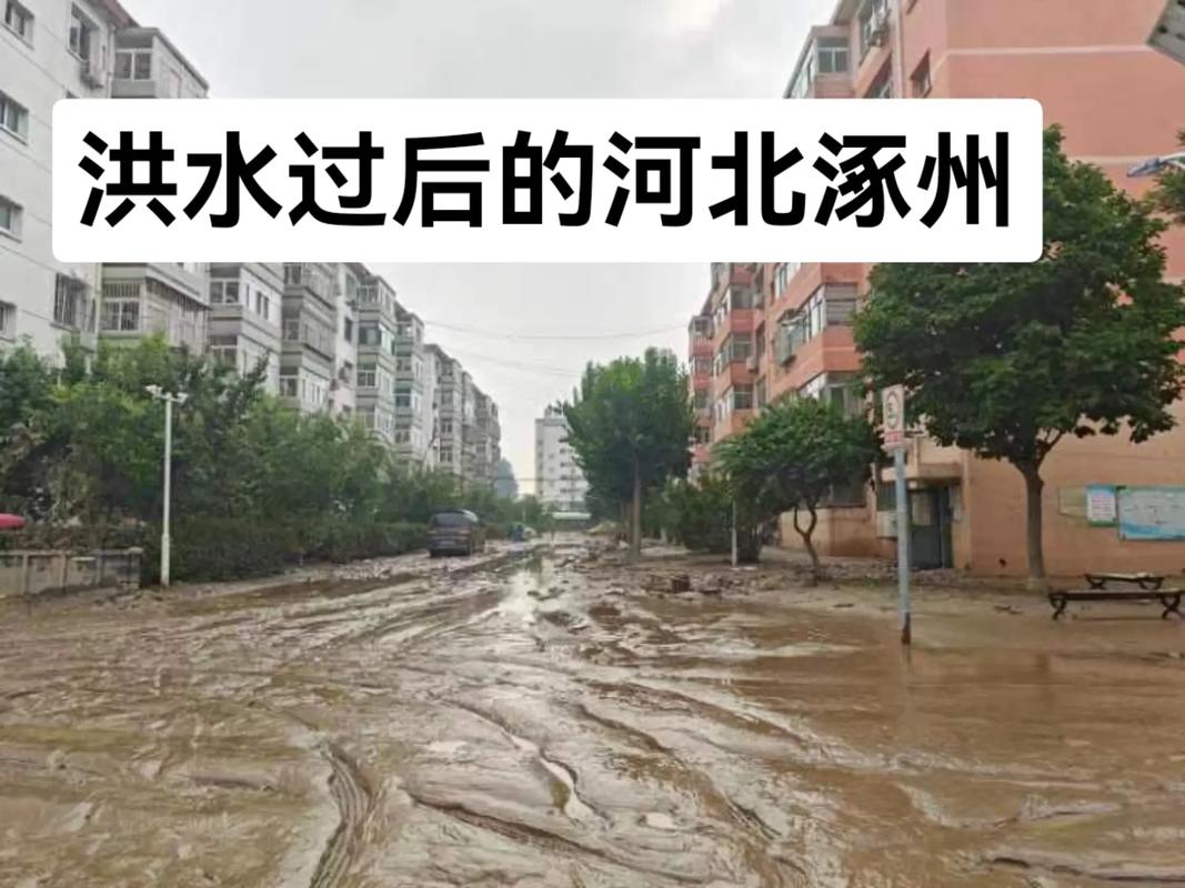 涿州新闻最新消息,涿州新闻最新消息2024-第1张图片-华田资讯 涿州新闻最新消息,涿州新闻最新消息2024-第1张图片-华田资讯