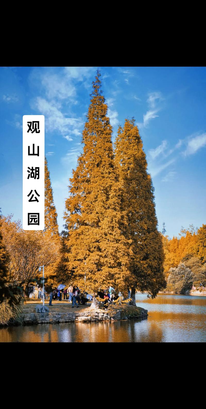 观山湖区扶贫大数据,观山湖大数据服务外包及呼叫中心产业园-第5张图片-华田资讯 观山湖区扶贫大数据,观山湖大数据服务外包及呼叫中心产业园-第5张图片-华田资讯