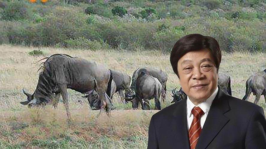 宁晋新闻最新消息,宁晋新闻最新消息疫情-第1张图片-华田资讯 宁晋新闻最新消息,宁晋新闻最新消息疫情-第1张图片-华田资讯