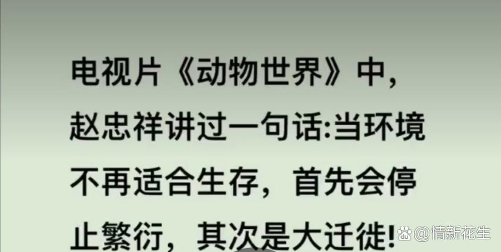 宁晋新闻最新消息,宁晋新闻最新消息疫情-第4张图片-华田资讯 宁晋新闻最新消息,宁晋新闻最新消息疫情-第4张图片-华田资讯