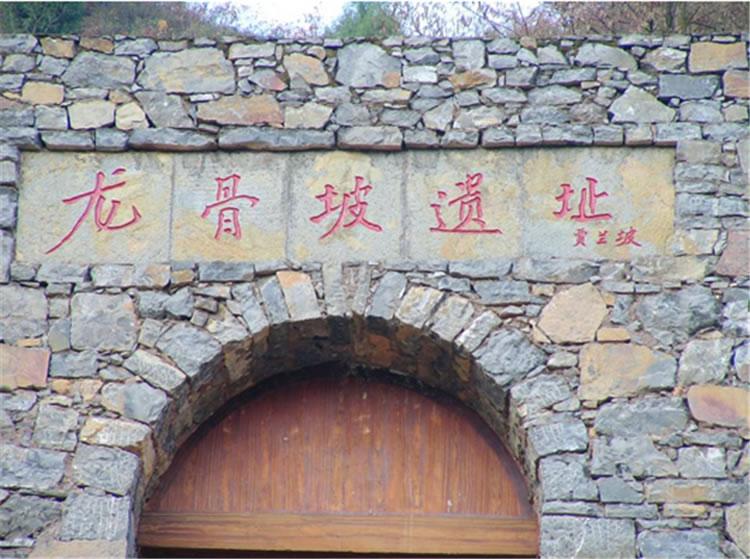 龙骨坡遗址最新新闻 - 龙骨坡文化-第1张图片-华田资讯 龙骨坡遗址最新新闻 - 龙骨坡文化-第1张图片-华田资讯