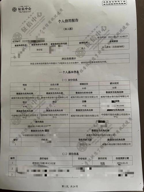 征信大数据是什么意思(征信大数据代表什么)-第1张图片-华田资讯 征信大数据是什么意思(征信大数据代表什么)-第1张图片-华田资讯