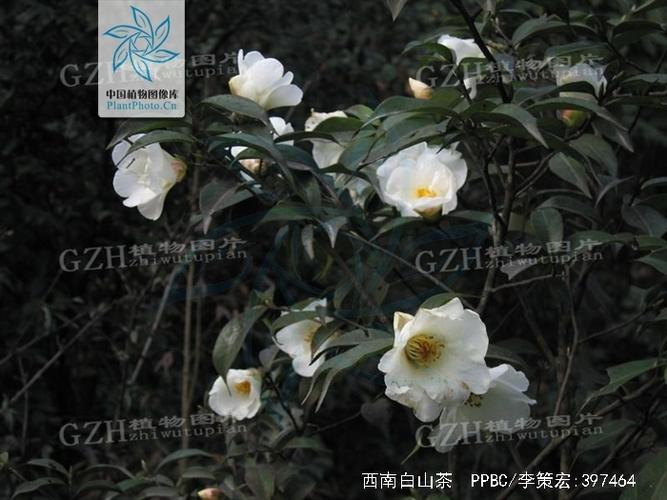 楚雄今天发生的重大新闻,楚雄市今天发生事件-第4张图片-华田资讯 楚雄今天发生的重大新闻,楚雄市今天发生事件-第4张图片-华田资讯