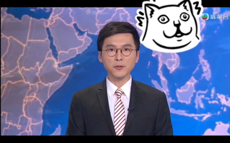 tvb新闻主播 - TVb新闻主播周可茵-第2张图片-华田资讯 tvb新闻主播 - TVb新闻主播周可茵-第2张图片-华田资讯