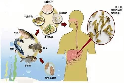 关于美食的新闻,关于美食的新闻稿怎么写-第5张图片-华田资讯 关于美食的新闻,关于美食的新闻稿怎么写-第5张图片-华田资讯