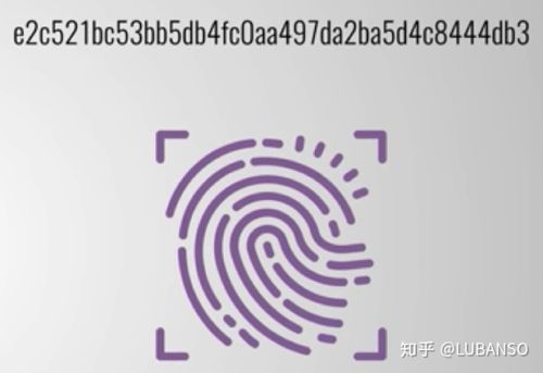 如何查询区块链链上规则 - 区块链地址查询怎么查-第2张图片-华田资讯 如何查询区块链链上规则 - 区块链地址查询怎么查-第2张图片-华田资讯