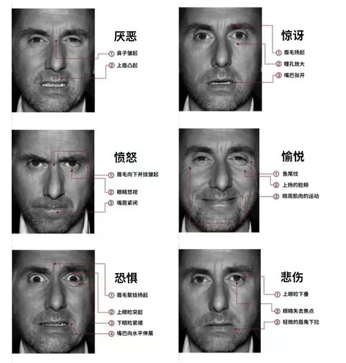 人工智能之情绪识别(人工智能情绪识别技术影响企业的现状研究)-第3张图片-华田资讯 人工智能之情绪识别(人工智能情绪识别技术影响企业的现状研究)-第3张图片-华田资讯