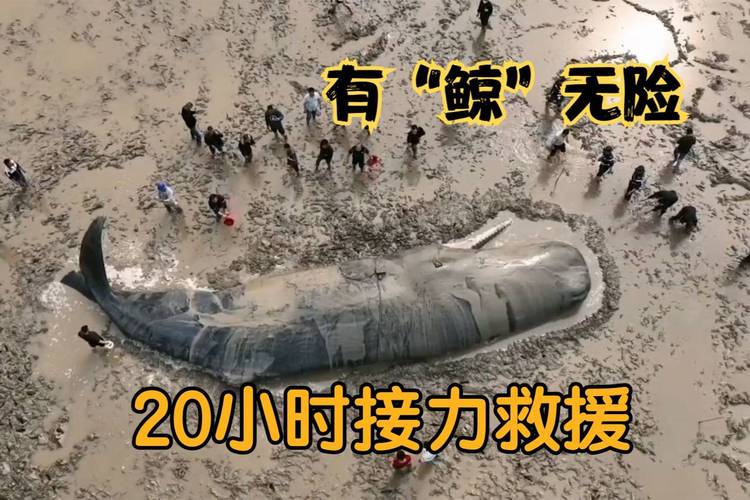 象山新闻最新消息 - 象山新闻最新消息疫情-第1张图片-华田资讯 象山新闻最新消息 - 象山新闻最新消息疫情-第1张图片-华田资讯