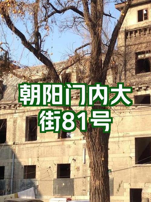朝阳新闻最新新闻事件,朝阳新闻头条最新消息-第7张图片-华田资讯 朝阳新闻最新新闻事件,朝阳新闻头条最新消息-第7张图片-华田资讯