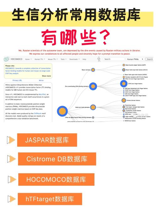 贵阳大数据交易所地址,贵阳大数据交易所app下载-第1张图片-华田资讯 贵阳大数据交易所地址,贵阳大数据交易所app下载-第1张图片-华田资讯