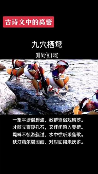 定陶新闻最新消息(定陶新闻最新消息视频,昨晚八点)-第1张图片-华田资讯 定陶新闻最新消息(定陶新闻最新消息视频,昨晚八点)-第1张图片-华田资讯