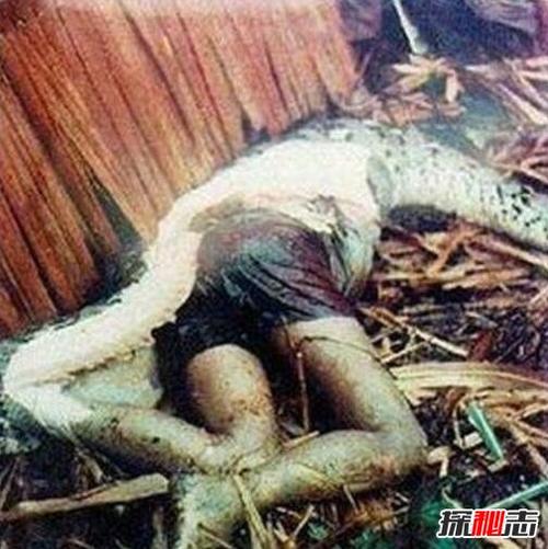 微兴化新闻事件 - 微兴化新闻事件圣先生在哪里牢房-第3张图片-华田资讯 微兴化新闻事件 - 微兴化新闻事件圣先生在哪里牢房-第3张图片-华田资讯