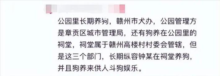 胶州新闻最新消息,胶州新闻最新消息疫情-第3张图片-华田资讯 胶州新闻最新消息,胶州新闻最新消息疫情-第3张图片-华田资讯