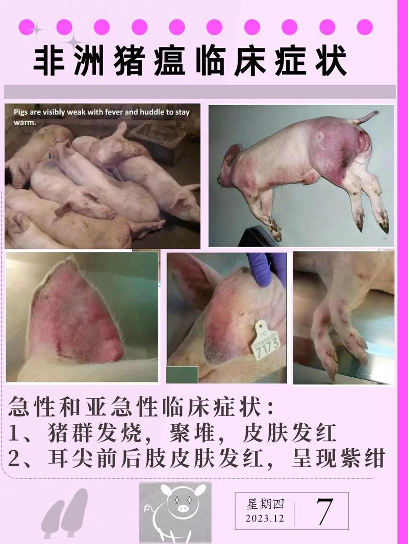 寿光今天新闻头条,寿光昨天晚上的新闻-第2张图片-华田资讯 寿光今天新闻头条,寿光昨天晚上的新闻-第2张图片-华田资讯