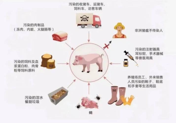 寿光今天新闻头条,寿光昨天晚上的新闻-第4张图片-华田资讯 寿光今天新闻头条,寿光昨天晚上的新闻-第4张图片-华田资讯