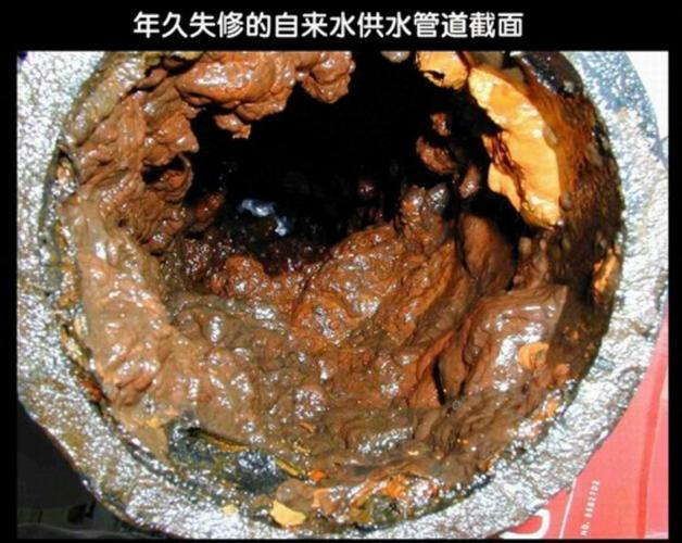 仙桃新闻最新消息(仙桃新闻最新事件今日头条)-第6张图片-华田资讯 仙桃新闻最新消息(仙桃新闻最新事件今日头条)-第6张图片-华田资讯