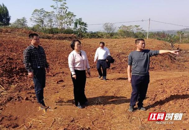 郴州市新闻网最新消息 - 郴州市新闻网最新消息疫情-第5张图片-华田资讯 郴州市新闻网最新消息 - 郴州市新闻网最新消息疫情-第5张图片-华田资讯