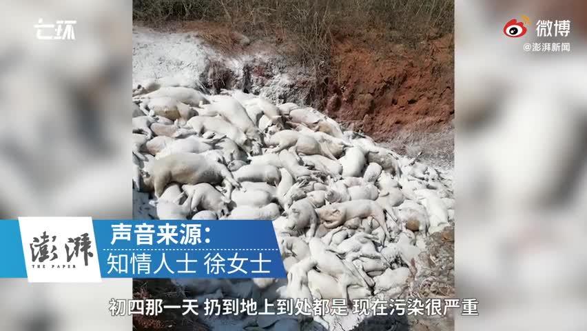 景德镇新闻最新消息 - 景德镇新闻最新消息车祸事件-第1张图片-华田资讯 景德镇新闻最新消息 - 景德镇新闻最新消息车祸事件-第1张图片-华田资讯