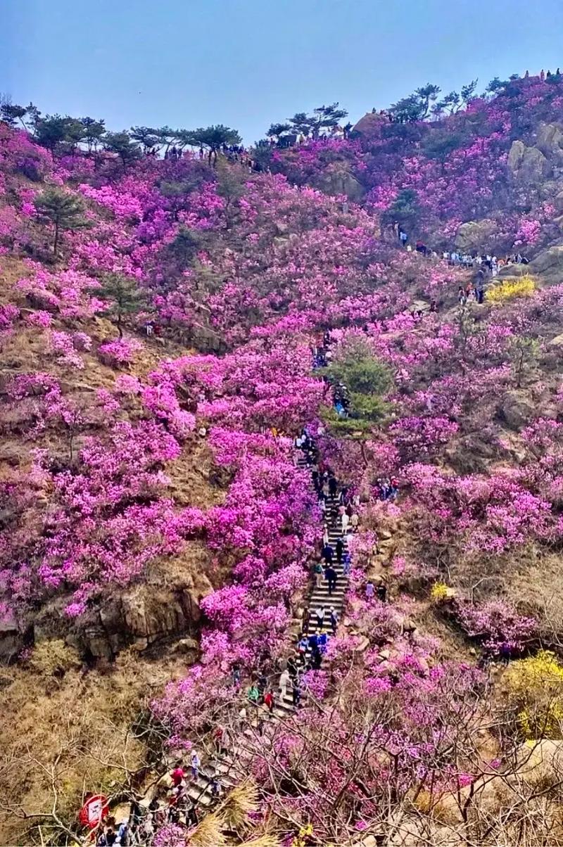 人工智能体验官研学 - 人工智能体验中心-第2张图片-华田资讯 人工智能体验官研学 - 人工智能体验中心-第2张图片-华田资讯